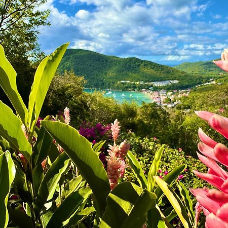 Au Jardin Des Colibris Ecolodge&Spa Deshaies Exterior photo