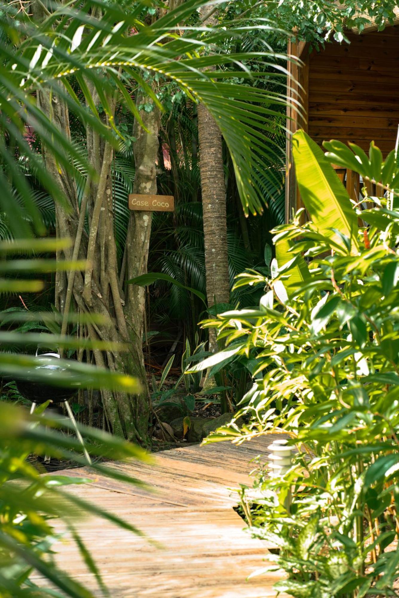 Au Jardin Des Colibris Ecolodge&Spa Deshaies Exterior photo