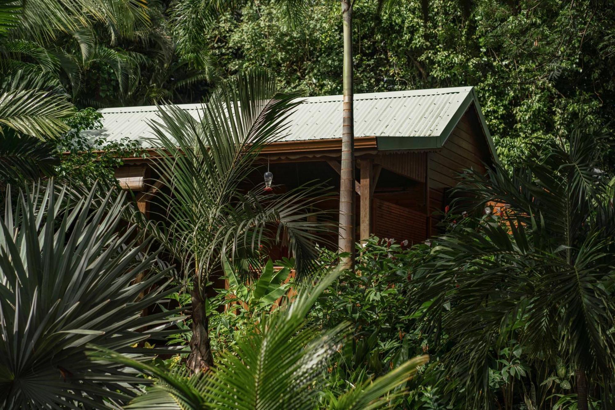 Au Jardin Des Colibris Ecolodge&Spa Deshaies Exterior photo