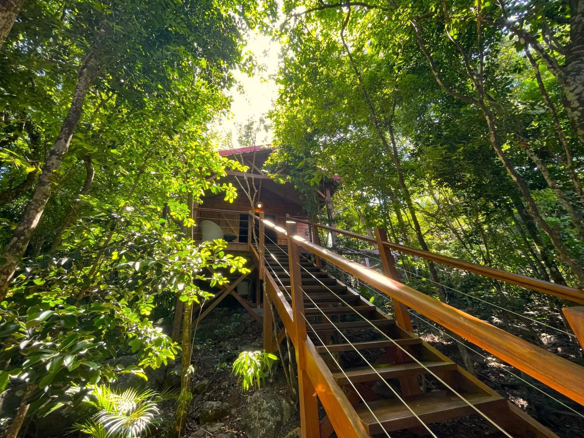 Au Jardin Des Colibris Ecolodge&Spa Deshaies Exterior photo